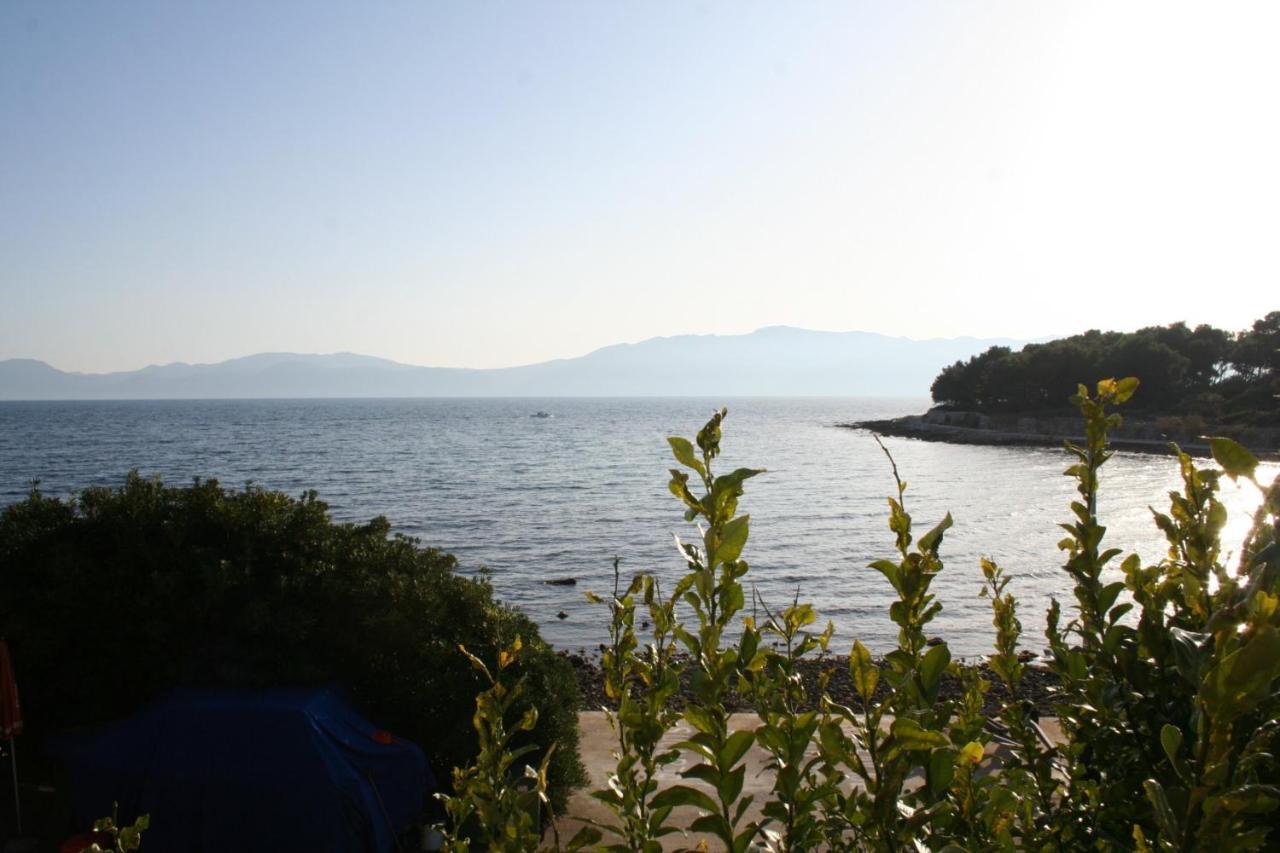 Apartments And Rooms By The Sea Sucuraj, Hvar - 4029 Buitenkant foto